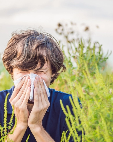 Article Alergia a zelené potraviny: môžu pomôcť?